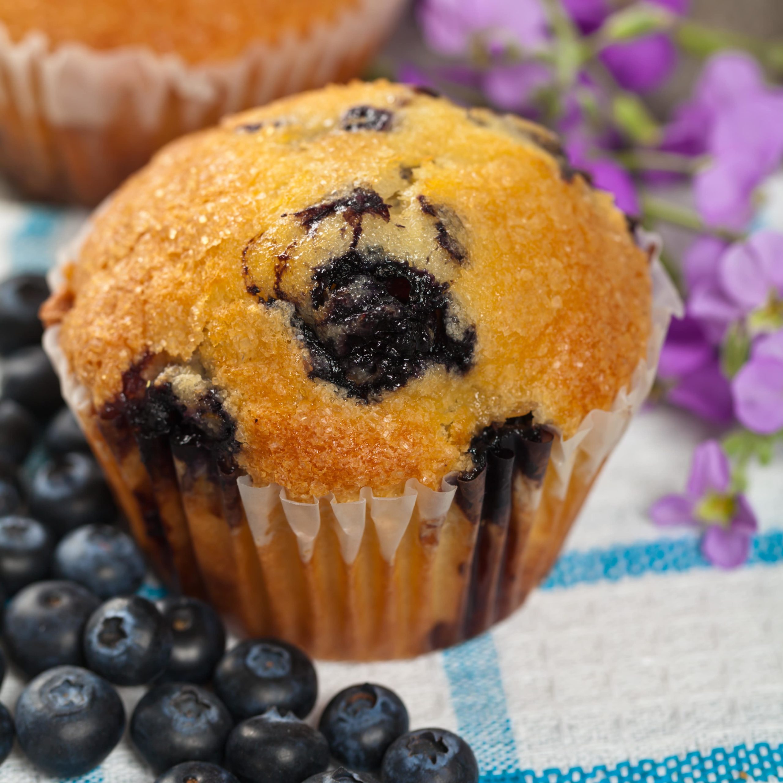 Blaubeermuffins mit Mandelmehl - lowcarbrezeptdestages.de Blaubeermuffins mit Mandelmehl - lowcarbrezeptdestages.de